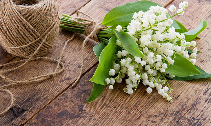 white lily of the valley flowers bouquet, spring, thread, lilies of the valley, HD wallpaper