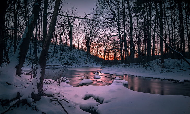 thawed river, nature, dark, snow, water, landscape, trees, winter, HD wallpaper