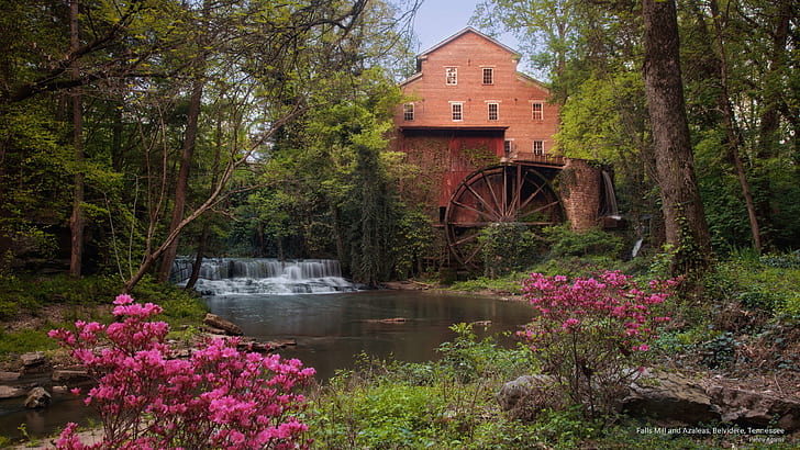 Falls Mill and Azaleas, Belvidere, Tennessee, Architecture, HD wallpaper