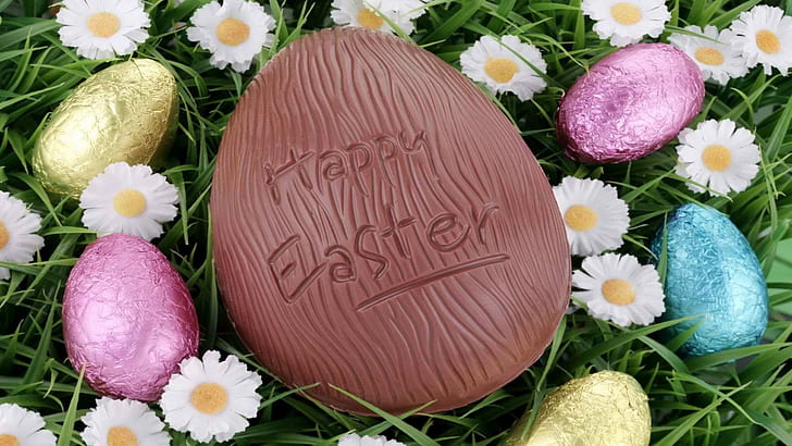 Happy Easter Chocolate Egg HD, flowers, grass