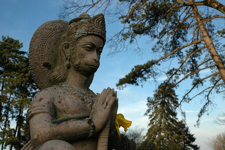 Hanuman, Lord Hannuman statue, God, Lord Hanuman, flower, yellow