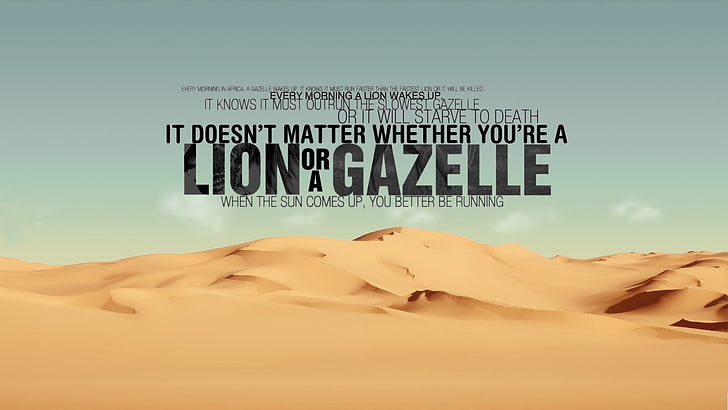quote, desert, lion, text, western script, communication, sky, HD wallpaper