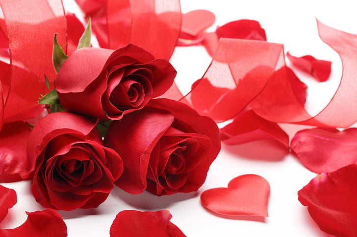 Petals Flowers, roses, red roses, heart, HD wallpaper