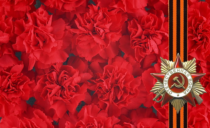 red flowers illustration, may 9, holiday, victory, cloves, st george ribbon, HD wallpaper