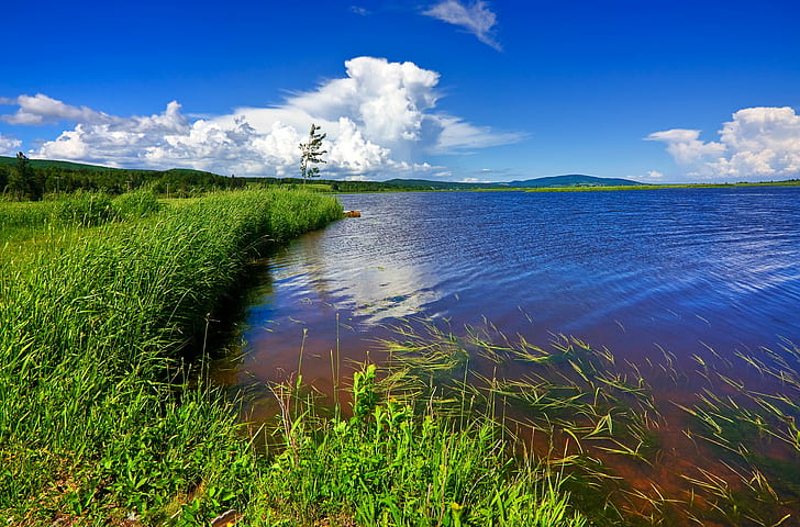 body of water beside grasses under clear blue sky, Beaver Brook, HD wallpaper