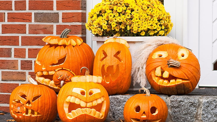 pumpkin, celebration, vegetable, squash, produce, food, halloween, HD wallpaper