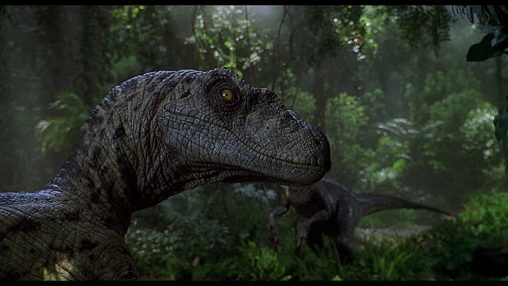 Jurassic Park, Jurassic Park III , Velociraptor, HD wallpaper