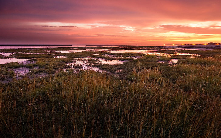Superb sunset grassland-Nature Scenery HD Wallpape.., landscape HD wallpaper