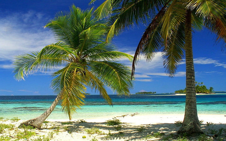 nature, landscape, palm trees, beach, island, sea, tropical, HD wallpaper