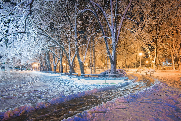 night, snow, park, lights, winter, tree, cold temperature, plant, HD wallpaper