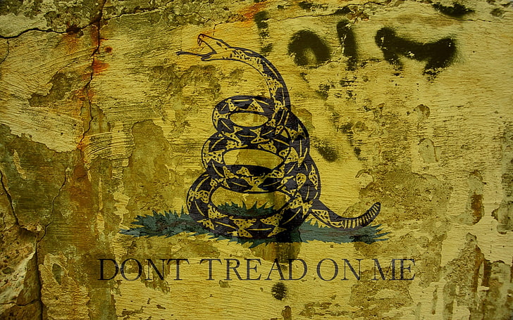 Dont Tread On Me Flag Wallpapers  Top Free Dont Tread On Me Flag  Backgrounds  WallpaperAccess