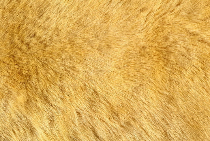 yellow fur, texture, fluff, animal texture, background desktop, HD wallpaper