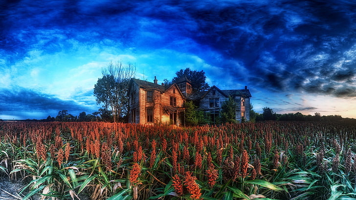 brown house, HDR, clouds, cabin, plants, trees, nature, abandoned, HD wallpaper