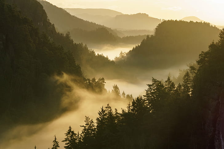 landscape photography of fog under the mountains, Explore, Elbsandsteingebirge