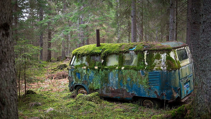 ruin, bus, volkswagen, decaying, abandoned, covered, foliage
