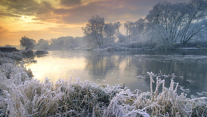 Frost Ice Winter Snow Tree River HD, nature, HD wallpaper
