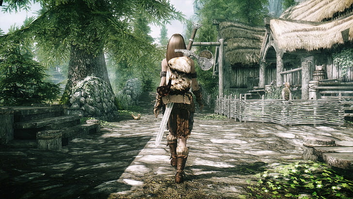 female carrying sword digital wallpaper, The Elder Scrolls V: Skyrim, HD wallpaper
