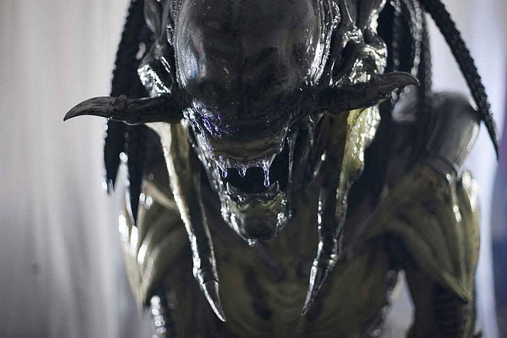 green and black predator character, Alien vs. Predator, creature, HD wallpaper