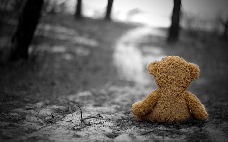 brown bear plush toy, teddy bears, selective coloring, depth of field, HD wallpaper