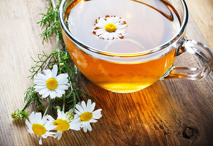 HD wallpaper: chamomile flowers and chamomile tea, background, Wallpaper, mood | Wallpaper Flare
