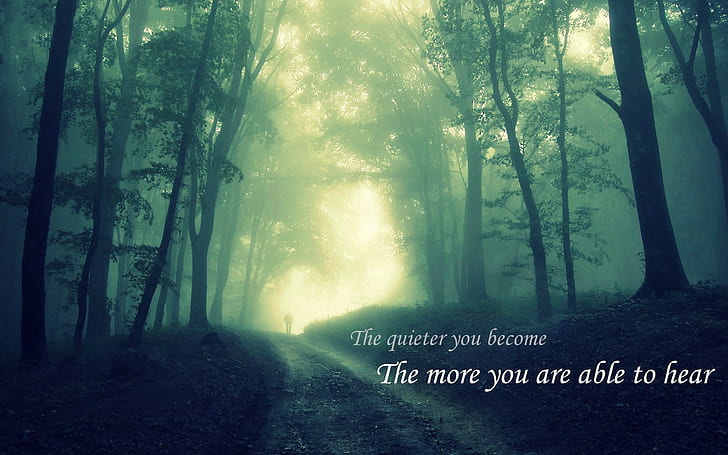 silent, backtrack, forest, quote, jungle, HD wallpaper