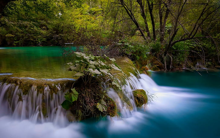 Plitvice National Park, Croatia, Nature, Landscape, Waterfall, Forest, Pond, Shrubs