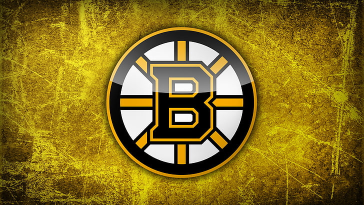 Boston Bruins logo, NHL, symbol, illustration, sign, technology, HD wallpaper