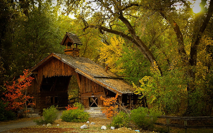 brown wooden house, brown cabin surrounded by trees, nature, photography