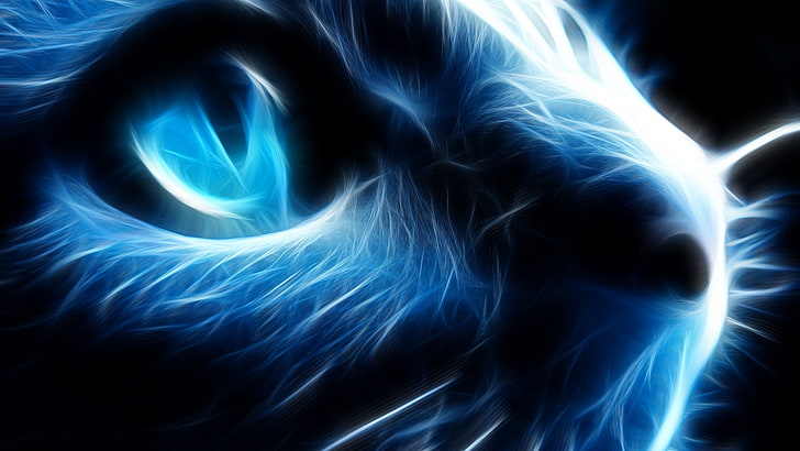 cat, Fractalius, animals, blue, motion, science, abstract, technology, HD wallpaper