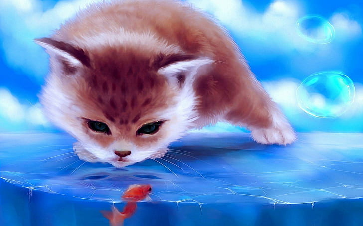 Cat staring at a fish trapped in ice, brown and white cat illustration, HD wallpaper