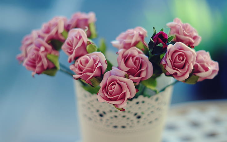 Pink roses flowers, petals, vase, bokeh, bucket of pink roses