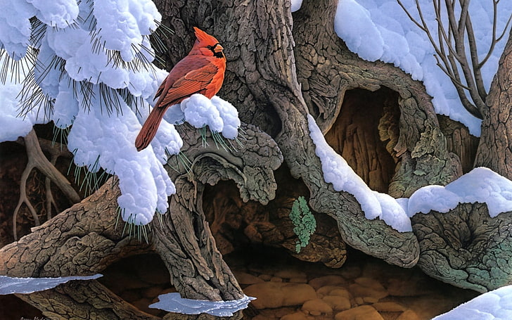 red cardinal bird digital wallpaper, painting, snow, winter, tree