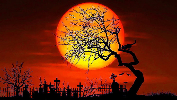 crosses, tombstones, moon, night, cat, tree, sky, halloween, HD wallpaper