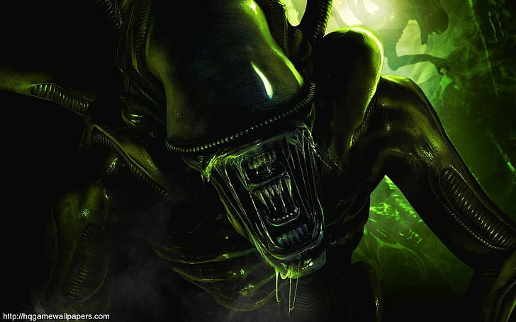 Alien Xenomorph poster, Alien (movie), one person, clothing, indoors, HD wallpaper