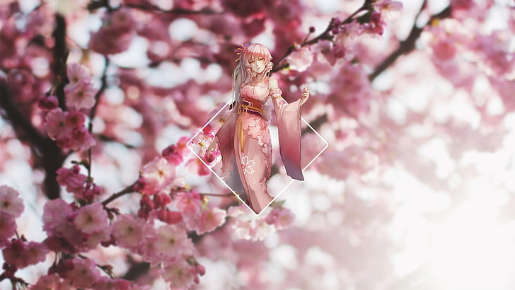 landscape, cherry blossom, anime girls, blurred, flower, flowering plant, HD wallpaper