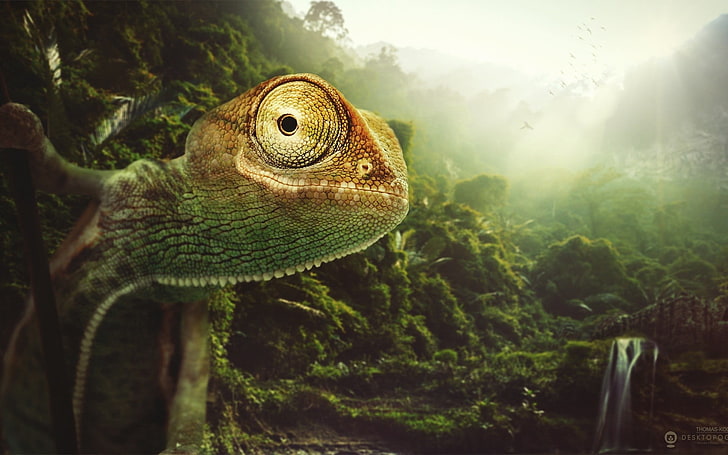 green and brown iguana, digital art, artwork, animals, one animal