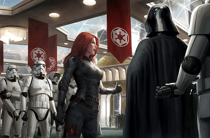 Star Wars animated wallpaper, stormtrooper, Darth Vader, artwork