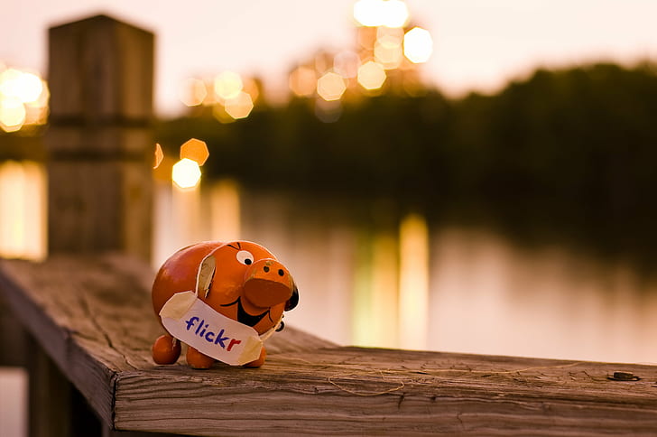Flickr pig decoration on brown wooden surface near body of water, HD wallpaper