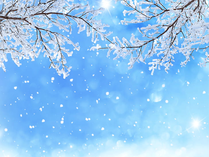 Snowfall 1080P, 2K, 4K, 5K HD wallpapers free download | Wallpaper Flare