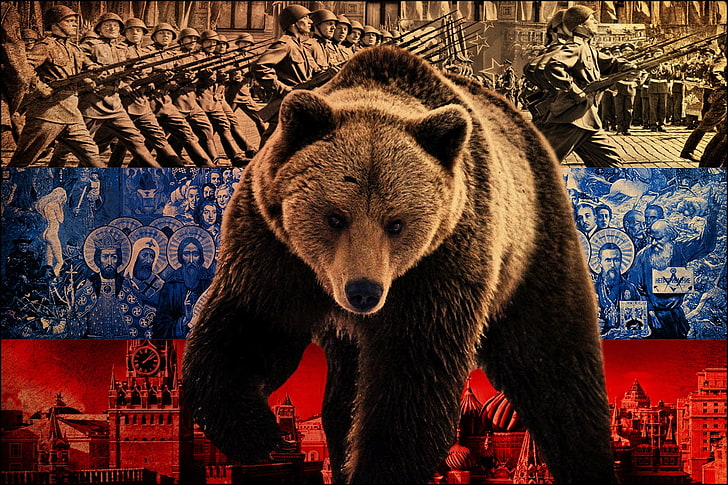 Bear illustration, symbol, flag, russia, animal, mammal, wildlife, HD wallpaper
