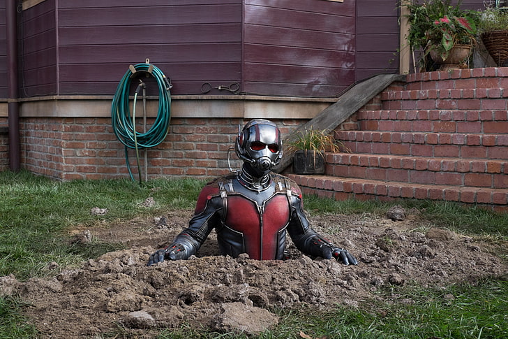 4k, Ant-Man and the Wasp, Paul Rudd, HD wallpaper