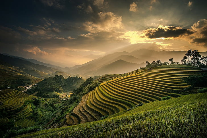 nature landscape field terraces mountain mist sunset valley clouds sky bali indonesia rice paddy, HD wallpaper