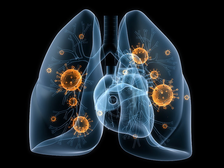disease, lungs, viruses, bacteria, HD wallpaper