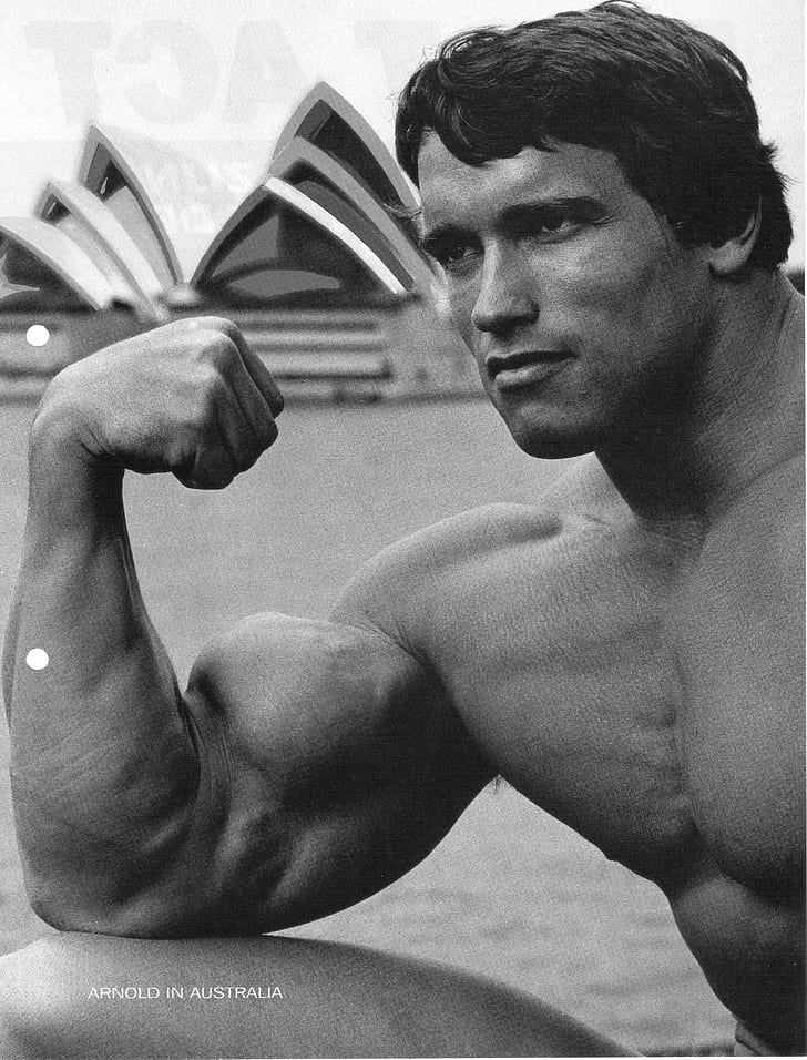 Arnold Schwarzenegger, Barbell, Bodybuilder, bodybuilding, Dumbbells