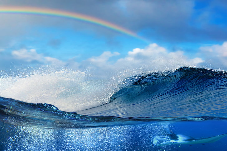 body of water, sea, underwater, waves, split view, rainbows, beauty in nature, HD wallpaper