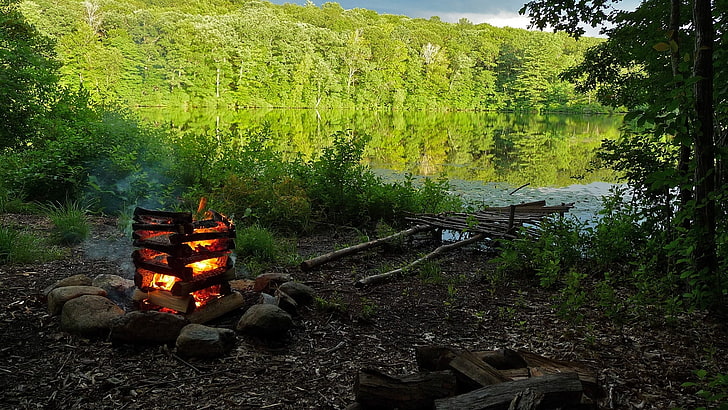 wooden bonfire, nature, campfire, pond, lake, tree, burning, plant, HD wallpaper
