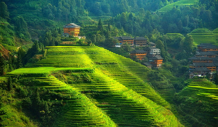 China, landscape, terraced field, hills