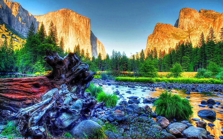 HD desktop wallpaper Waterfall Tree Earth Yosemite National Park  download free picture 1502178