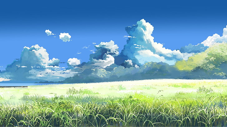 green grass field, Makoto Shinkai, 5 Centimeters Per Second, clouds