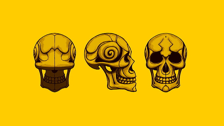 three human skulls illustration, yellow, bone, human skeleton, HD wallpaper